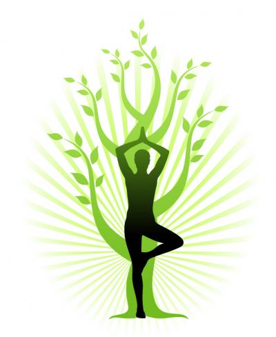 main 514249 yoga tree