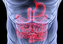 intestine-gastroenterology